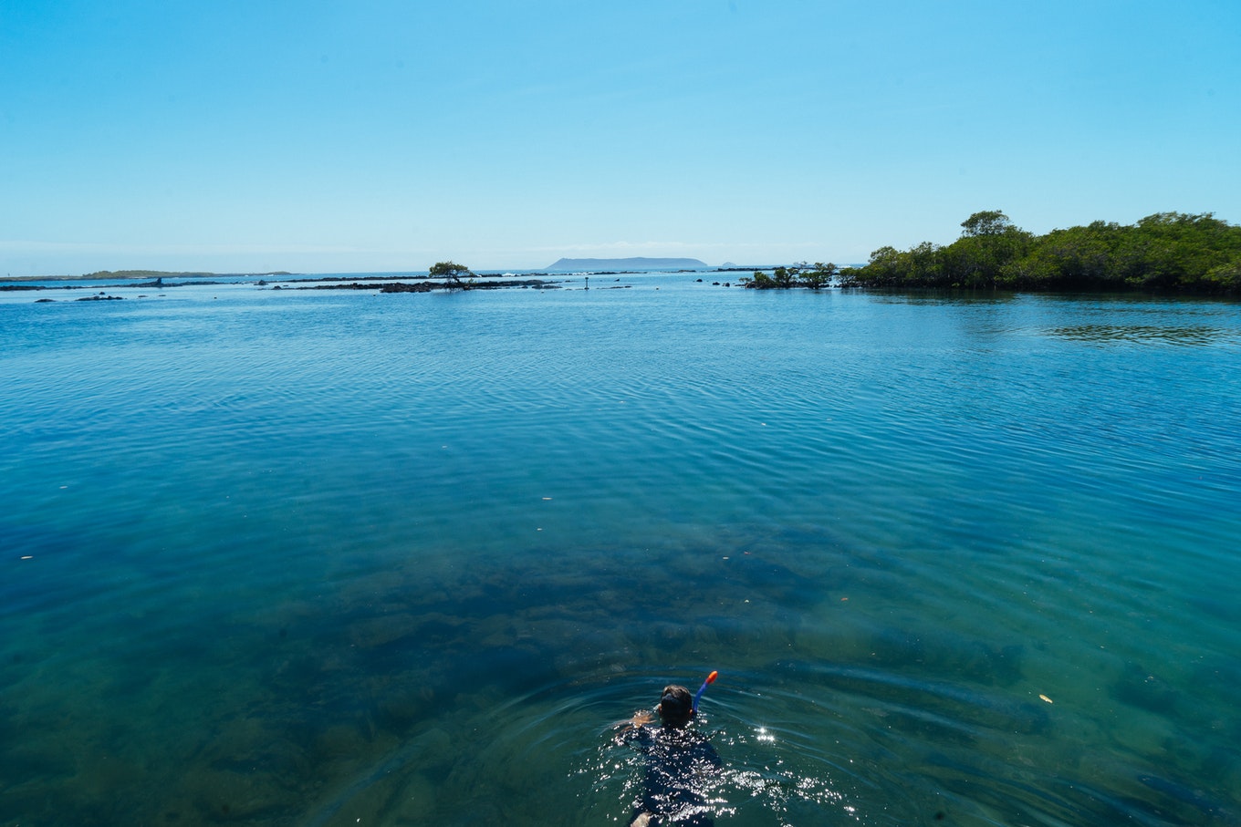 Snorkelling at Concha Perla